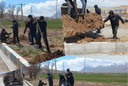 کاشت نهال در فضای سبز شهری