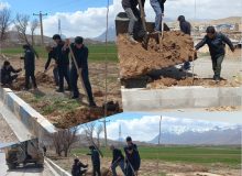 کاشت نهال در فضای سبز شهری