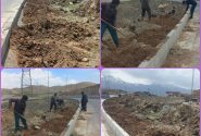 درختکاری در ورودی جایگاه عرضه سوخت  شهرداری طاقانک