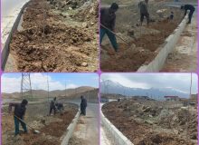 درختکاری در ورودی جایگاه عرضه سوخت  شهرداری طاقانک