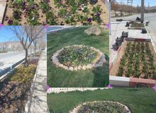 گلکاری سطوح فضای سبز شهری