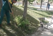 وجین علفهای هرز بوستان نماز و ورودی شهر (روبروی بوستان شهرداری)