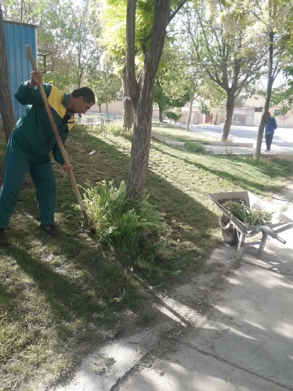 وجین علفهای هرز بوستان نماز و ورودی شهر (روبروی بوستان شهرداری)