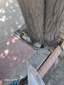 شهر پاک و زیبا، حاصل همکاری شهرداری و شهروندان عزیز است.