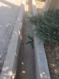 شهر پاک و زیبا، حاصل همکاری شهرداری و شهروندان عزیز است.