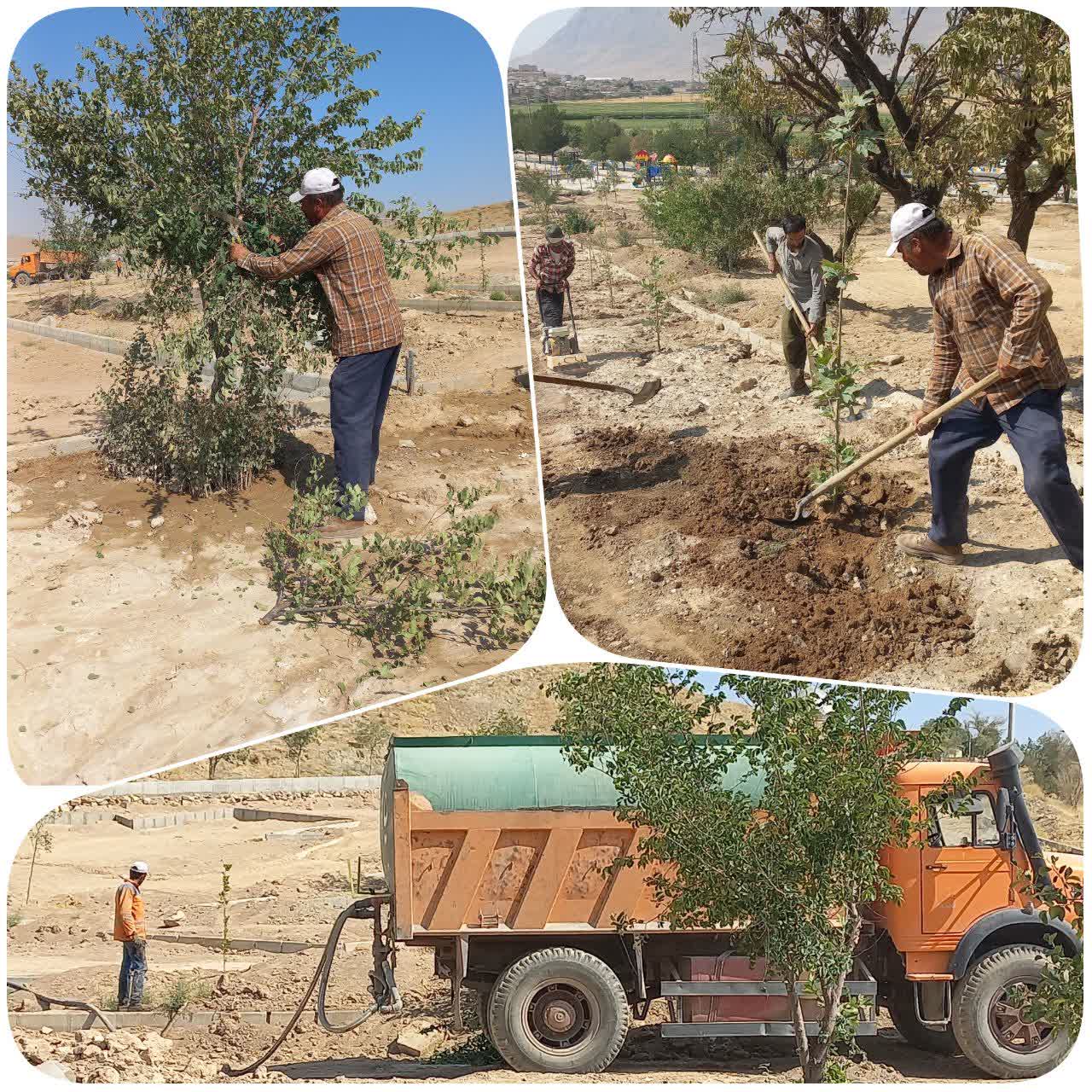 هرس سبز ، اصلاح تشتک و آبیاری درختان بوستان شهرداری